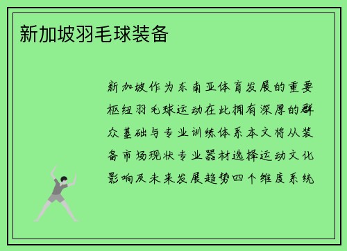 新加坡羽毛球装备