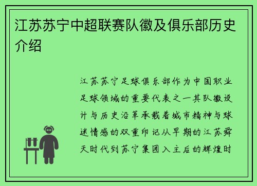 江苏苏宁中超联赛队徽及俱乐部历史介绍