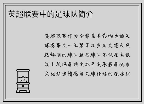 英超联赛中的足球队简介