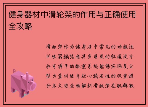 健身器材中滑轮架的作用与正确使用全攻略